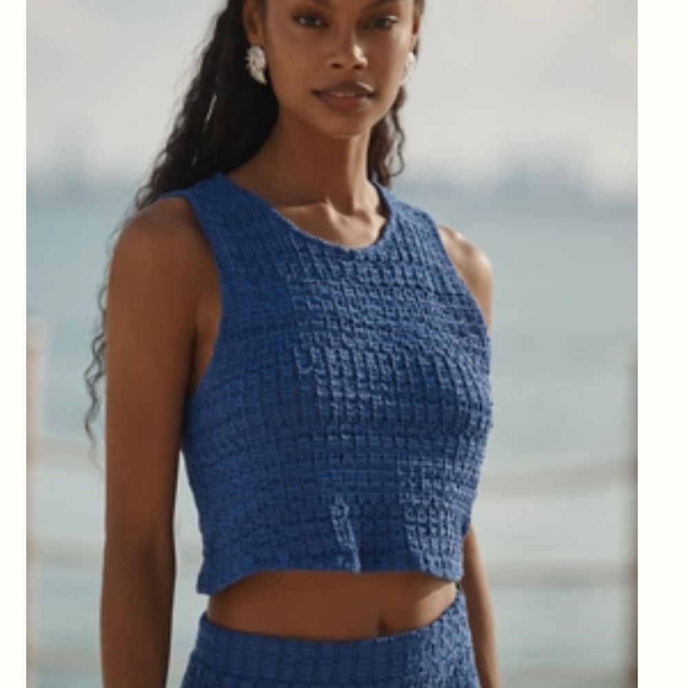 Celandine Sheer knit Crop Top and Skirt